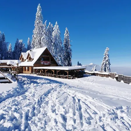 Leda - Centar Ravna Planina Gornje